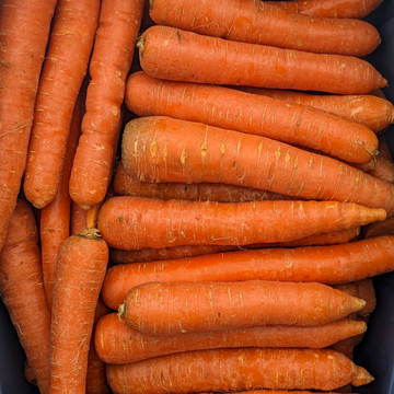Bulk Orange Carrots (mixed sizes)