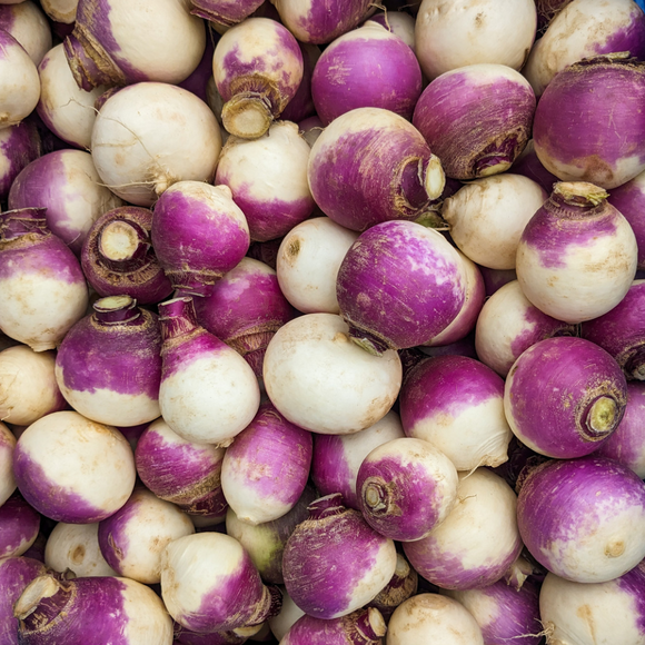 Purple Top Turnip