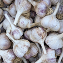 Garlic-1