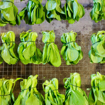 Baby Bok Choy - 0
