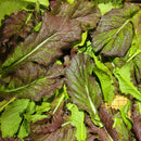 Mustard Greens-1
