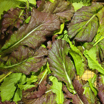 Mustard Greens