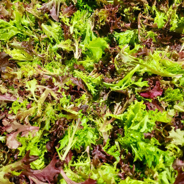 Lettuce Mix