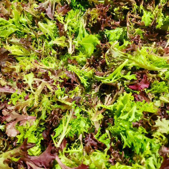 Lettuce Mix