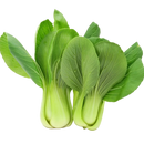 Baby Bok Choy-1