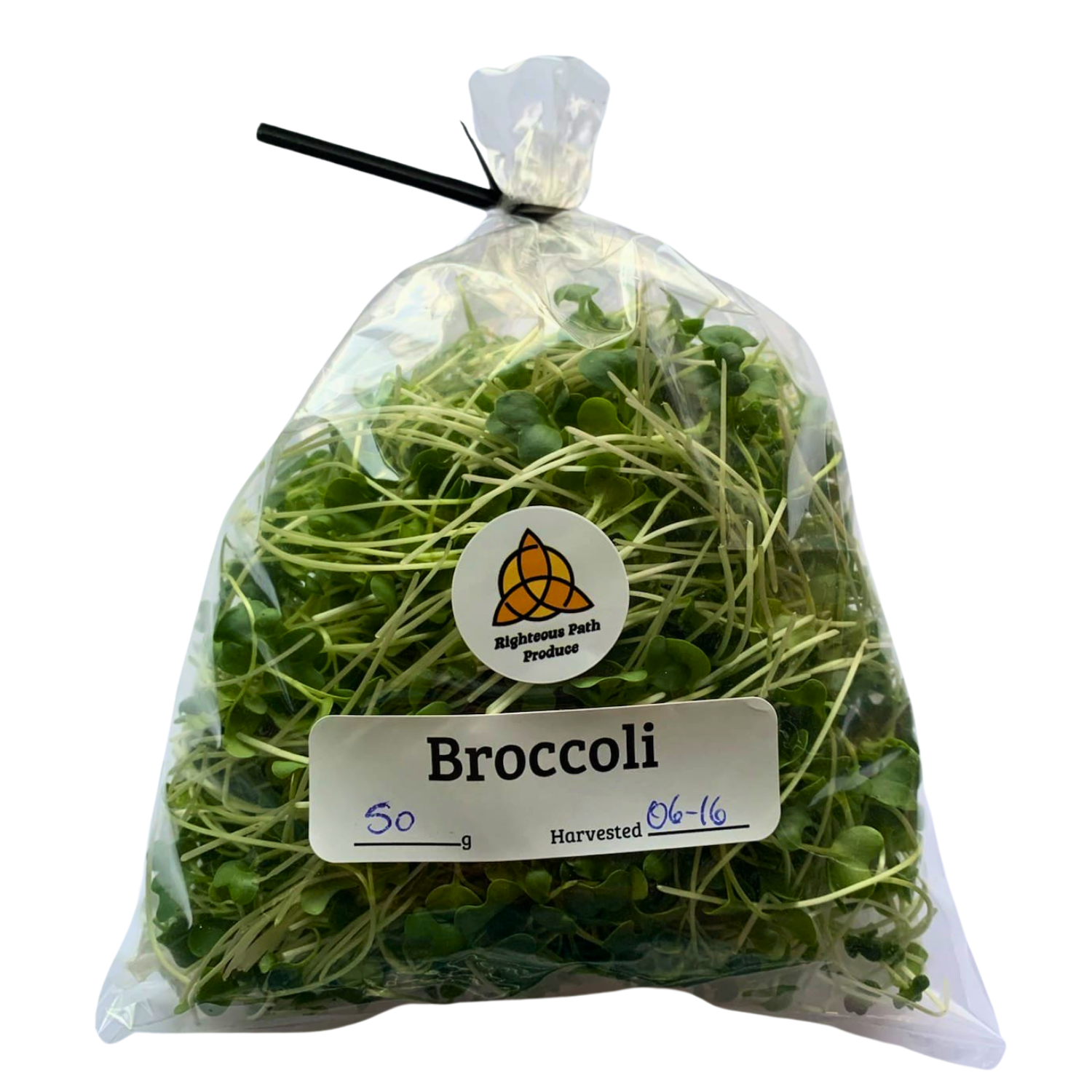 Broccoli Microgreens 50g