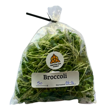 Broccoli Microgreens