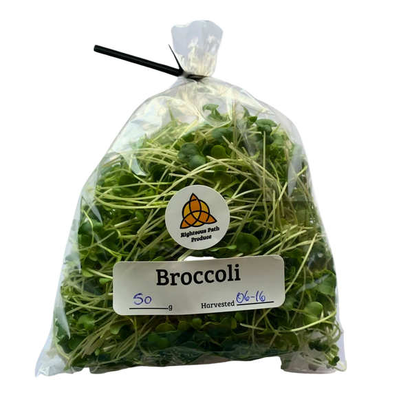 Broccoli Microgreens