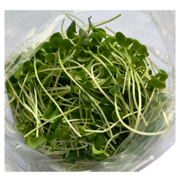 Broccoli Microgreens - 0