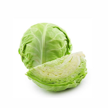 Small Green Cabbage