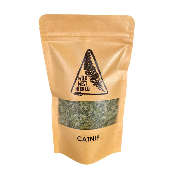 Catnip