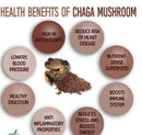 Chaga Tea-4