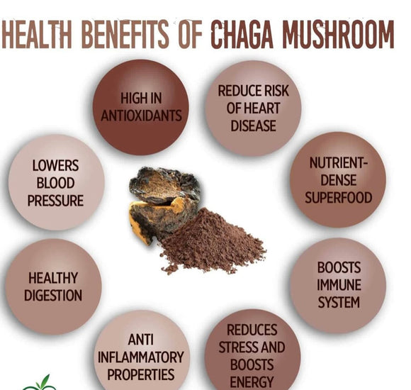 Chaga Tea