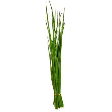 1. FRESH Chives