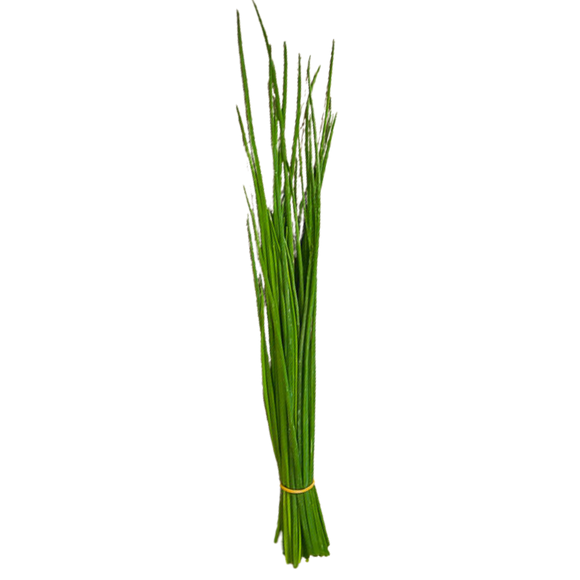- FRESH - Chives