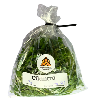 Cilantro Microgreens 30g