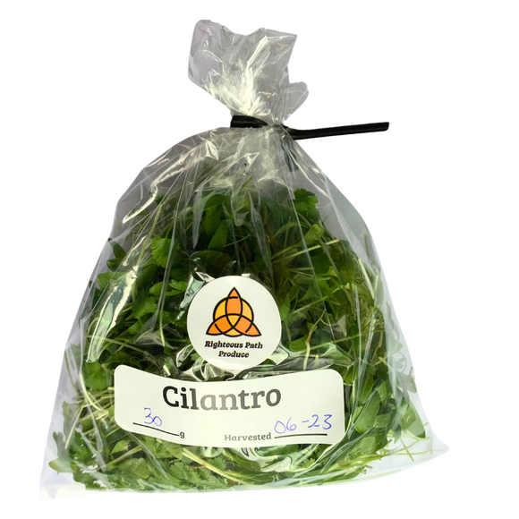 Cilantro Microgreens 30g