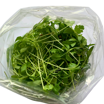 Cilantro Microgreens 30g - 0