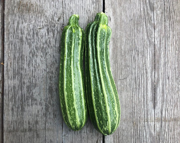Costata Romanesco Zucchini (Striped)