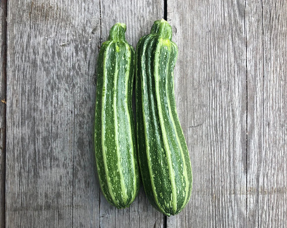 Costata Romanesco Zucchini (Striped)