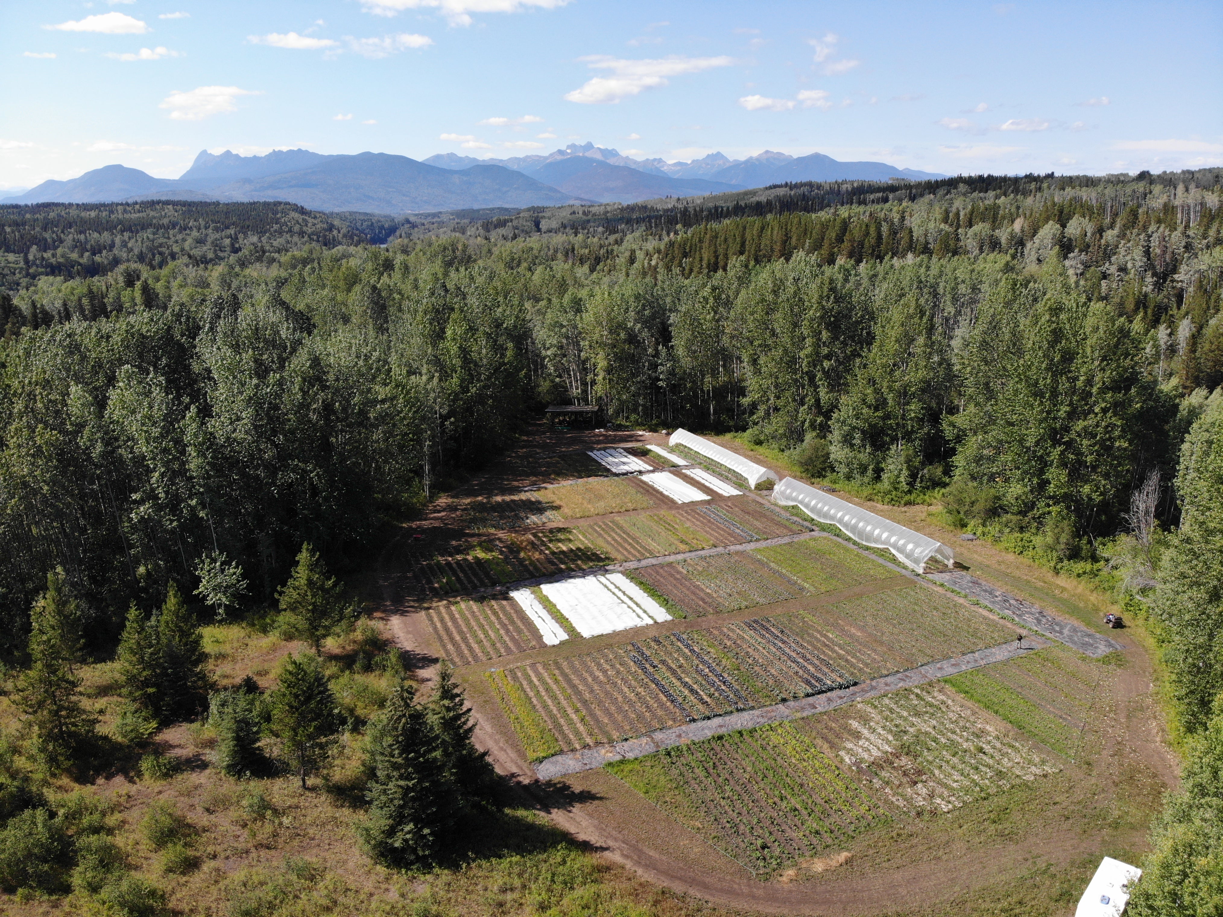 BULKLEY VALLEY GROWN FOOD