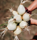 Join Our Farm Membership & Save Up To $200-10