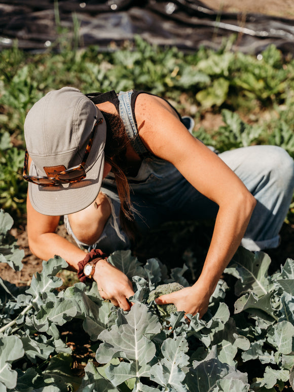 Join Our Farm Membership & Save Up To $200