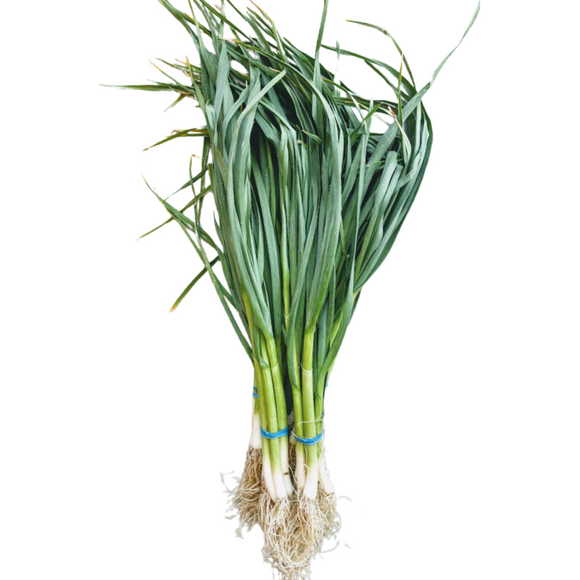 Green Garlic