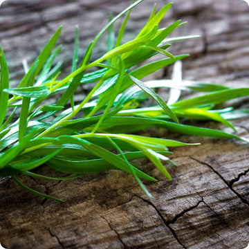 - FRESH - Tarragon