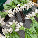 BABY Hakurei Salad Turnips-3