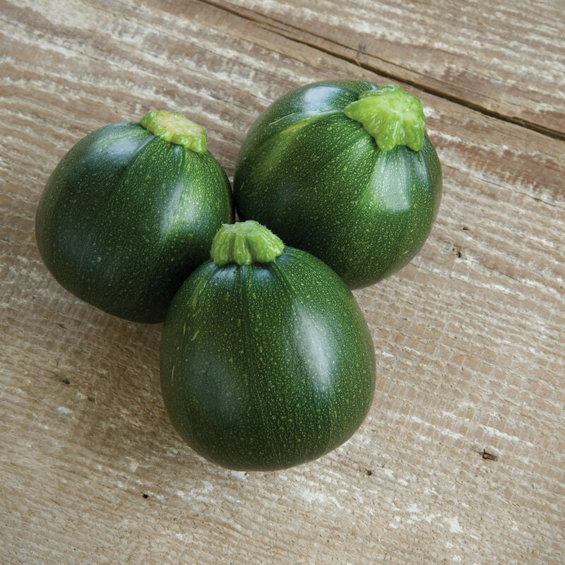 Ball Squash/Zucchini