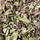 Wild Bergamot/Lemon Beebalm-2