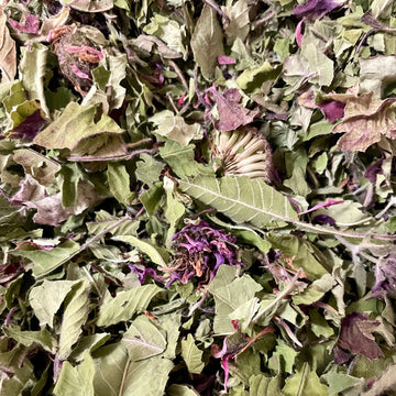 Wild Bergamot/Lemon Beebalm - 0