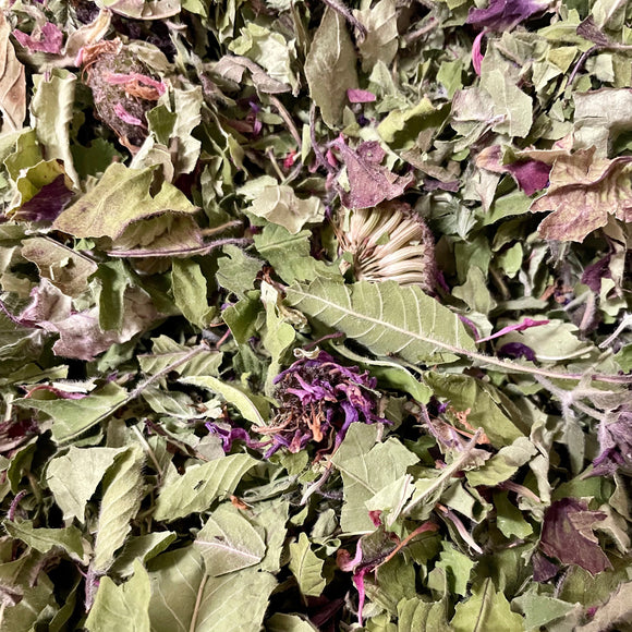 Wild Bergamot/Lemon Beebalm