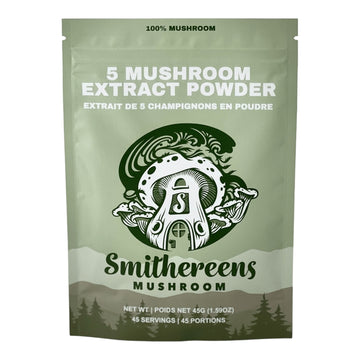 5 Mushroom Extract Powder