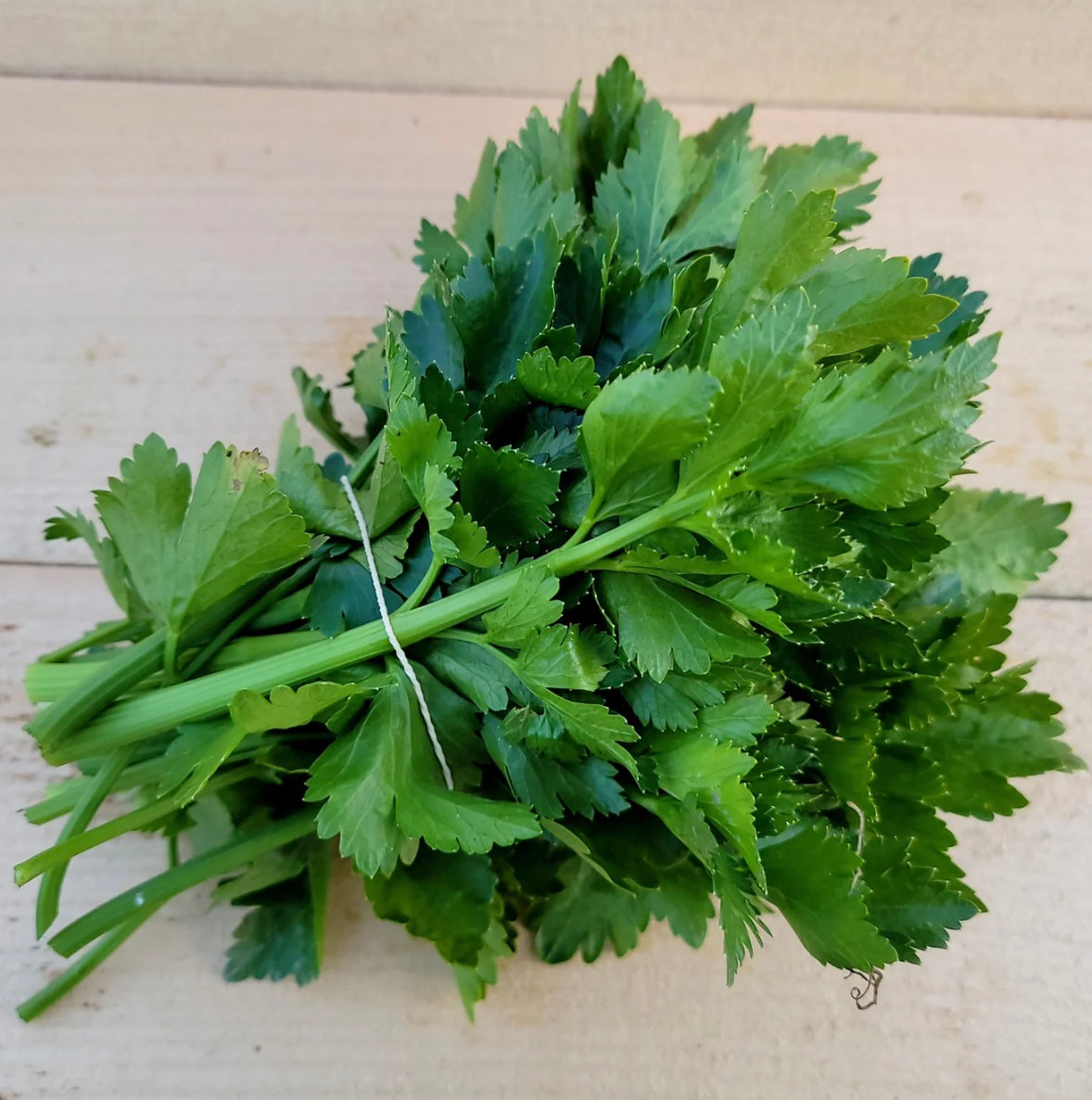 Celery Bunches