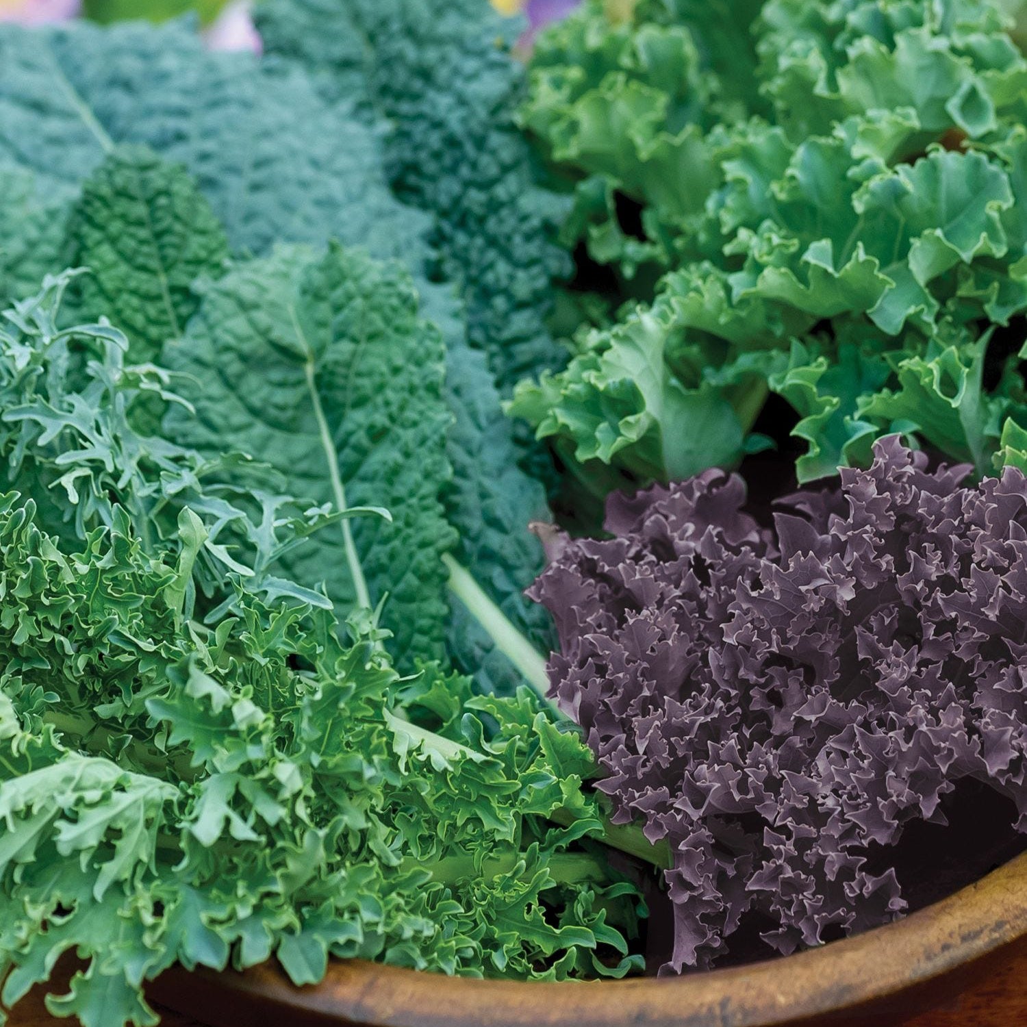 Mixed Kale Bunch