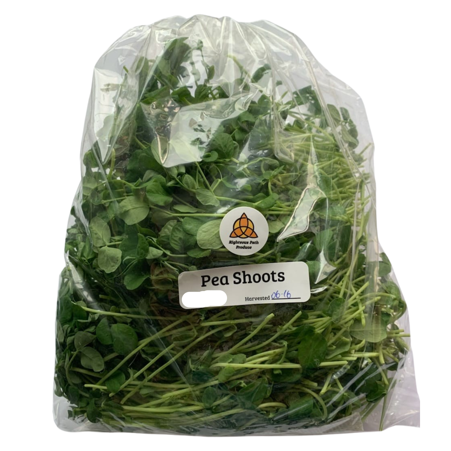 Pea Shoots 100g