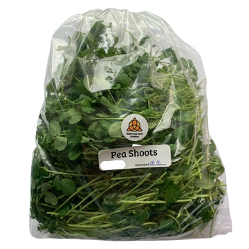 Pea Shoots
