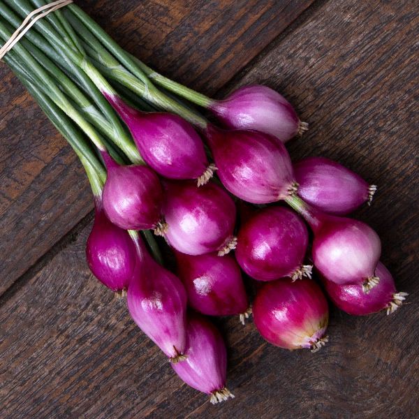 Pearl Onions - 0