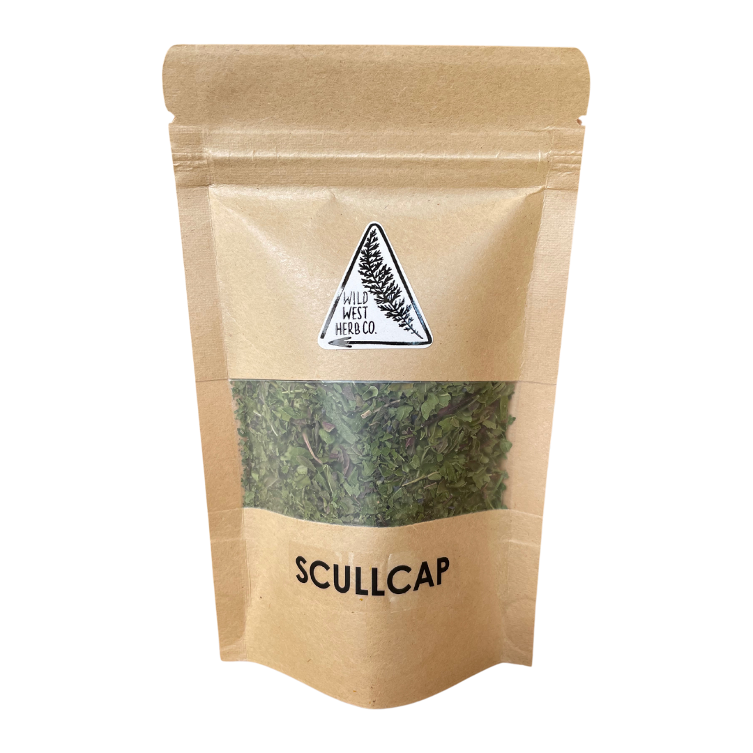 Scullcap