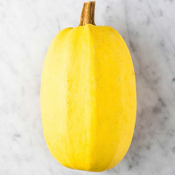 Large Spaghetti Squash