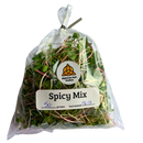 Spicy Mix Microgreens 50g-1