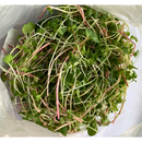 Spicy Mix Microgreens 50g-2