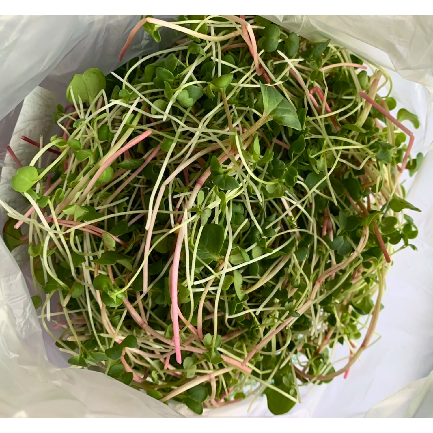 Spicy Mix Microgreens 50g - 0