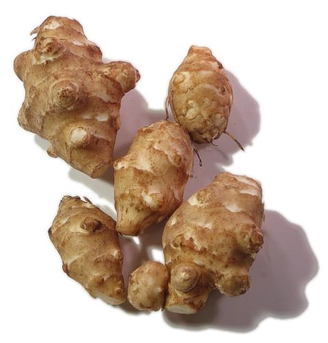 Sunchokes/Jerusalem Artichoke