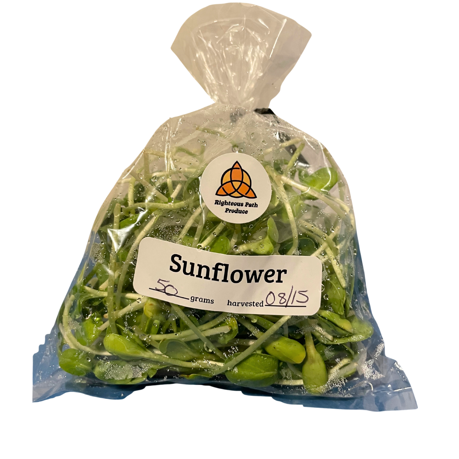 Sunflower Microgreens