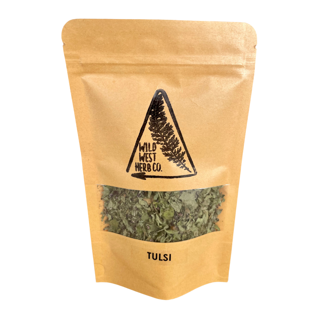 Tulsi (Holy Basil)