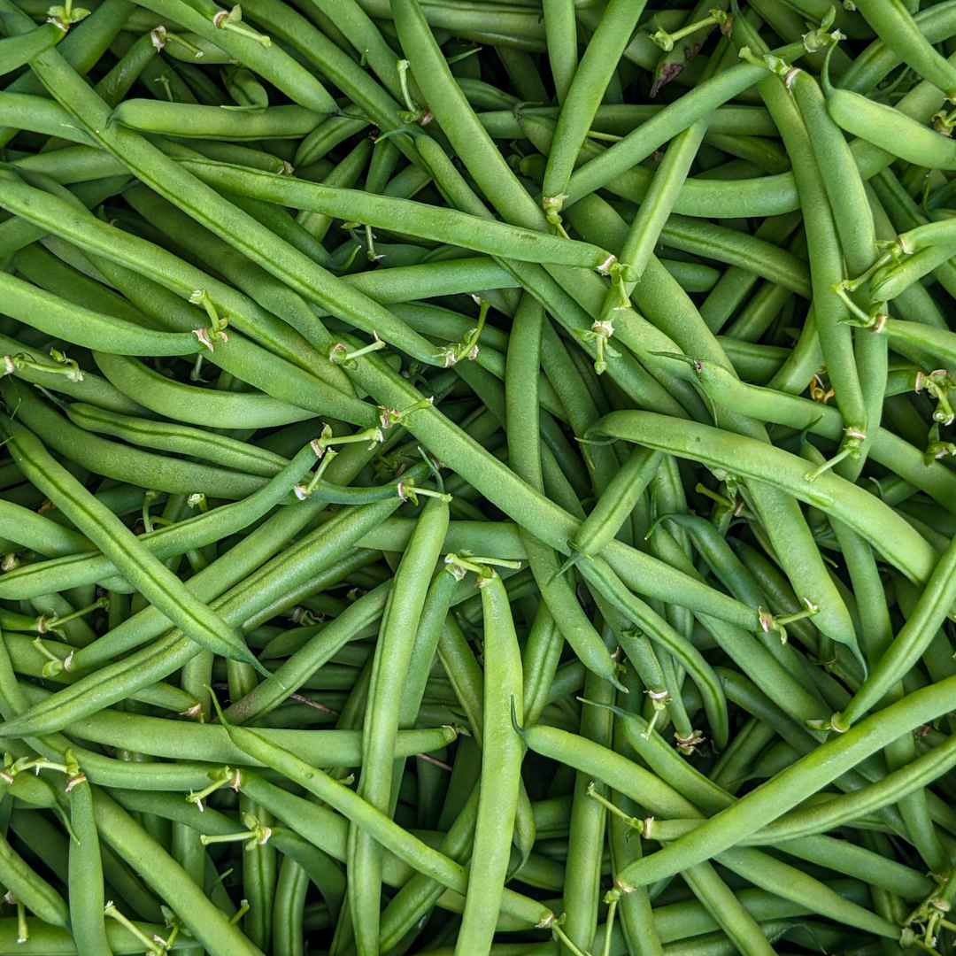 Green Beans