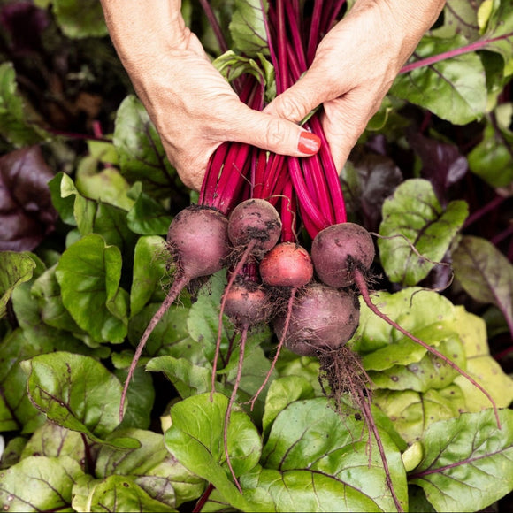 Mixed Beets